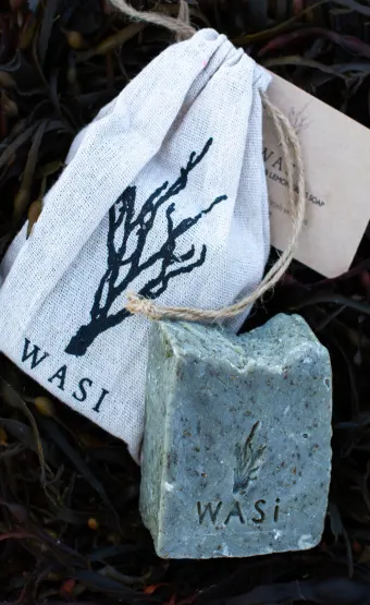 WASI: the magic of Seaweed