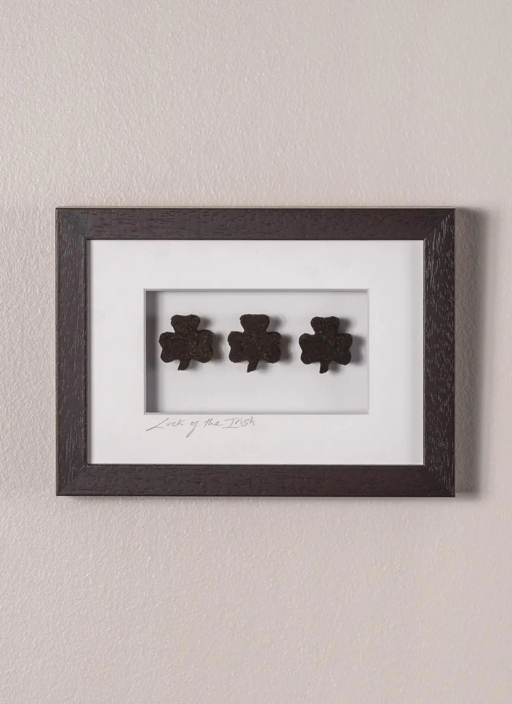 Luck Of The Irish Frame