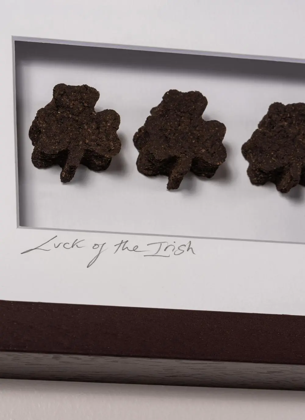 Luck Of The Irish Frame