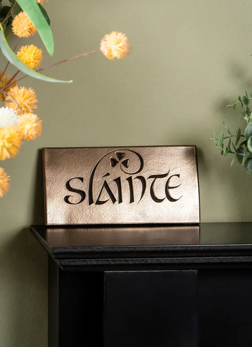 Slainte Bronze Plaque