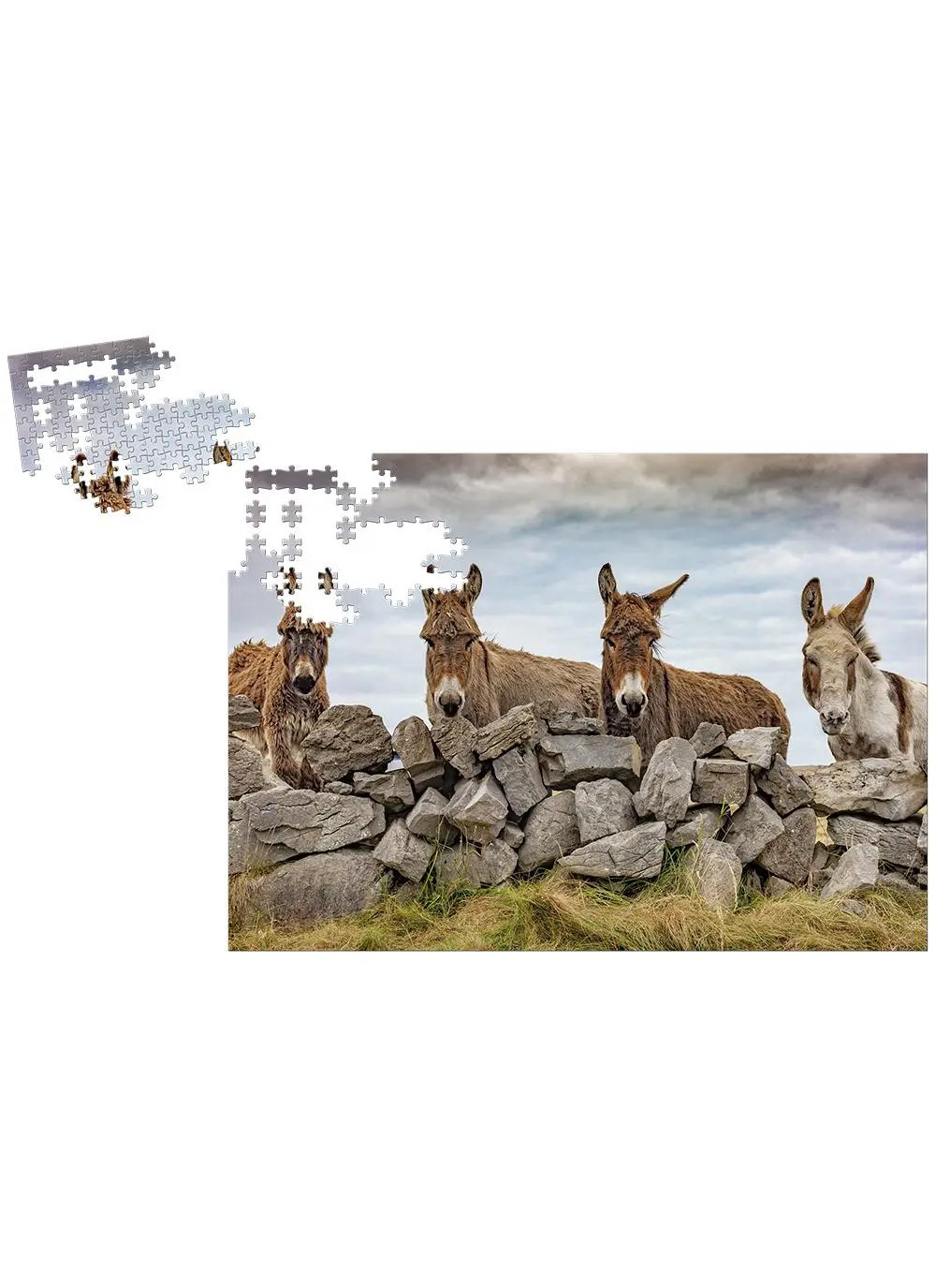  Irish Donkeys Jigsaw Puzzle