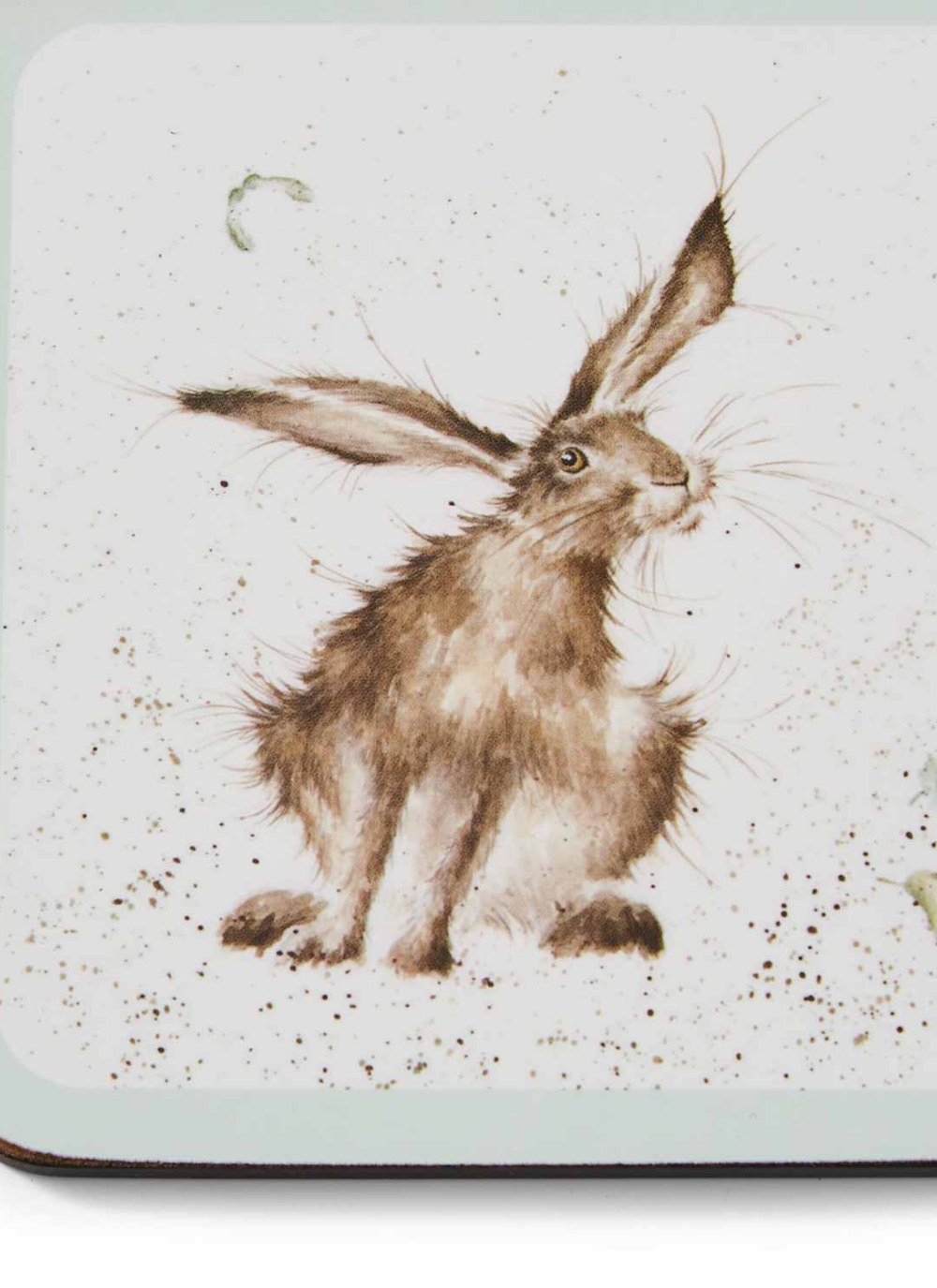 Forest Friends Coasters - Set of 6 
