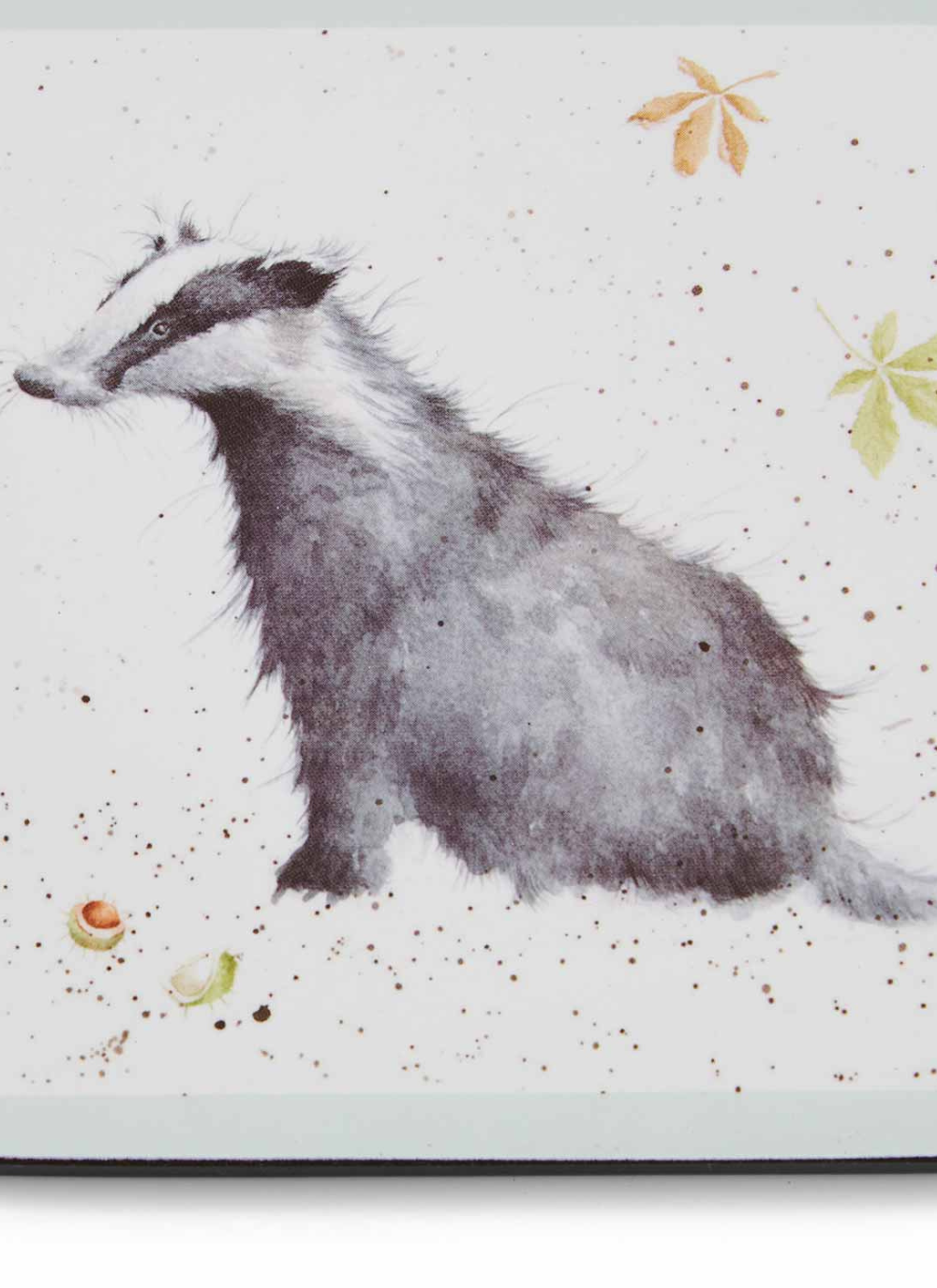 Forest Friends Coasters - Set of 6 