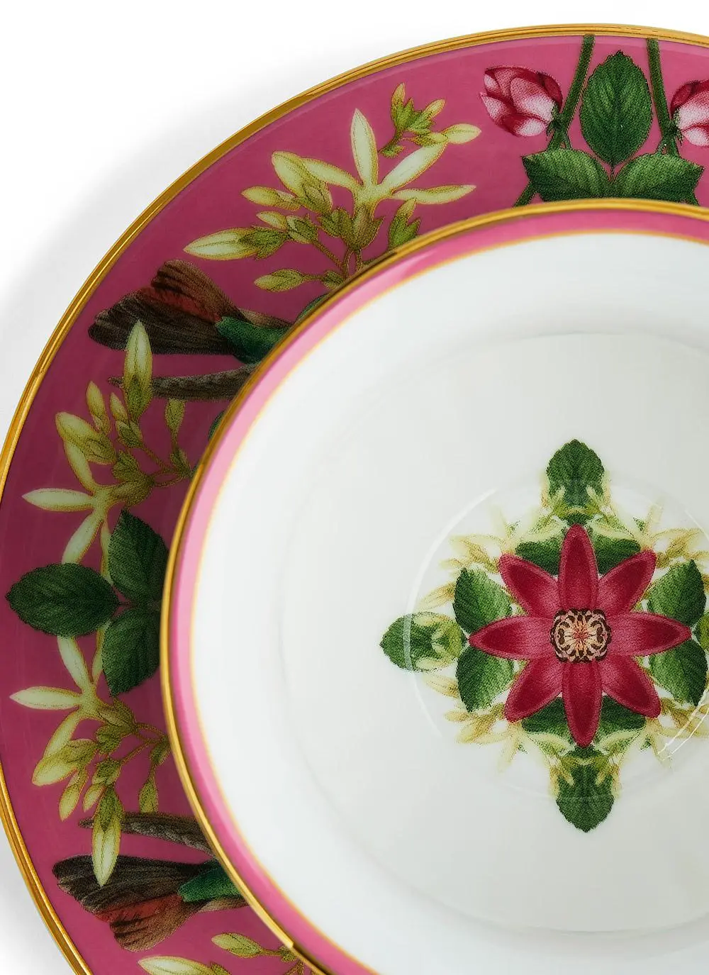 Wedgwood Wonderlust Pink Lotus Teacup & Saucer