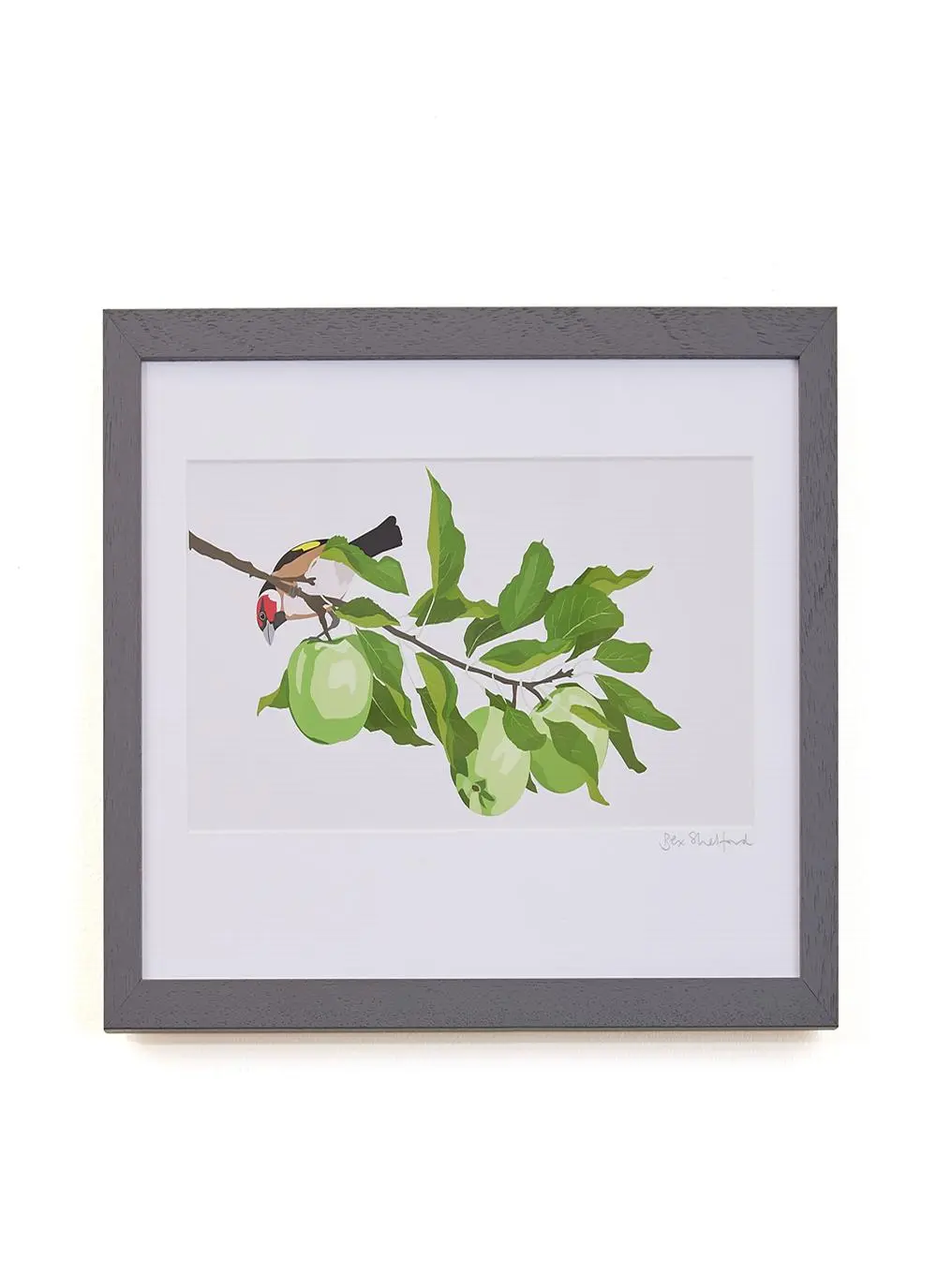 Gold Finch & Apples Framed Print