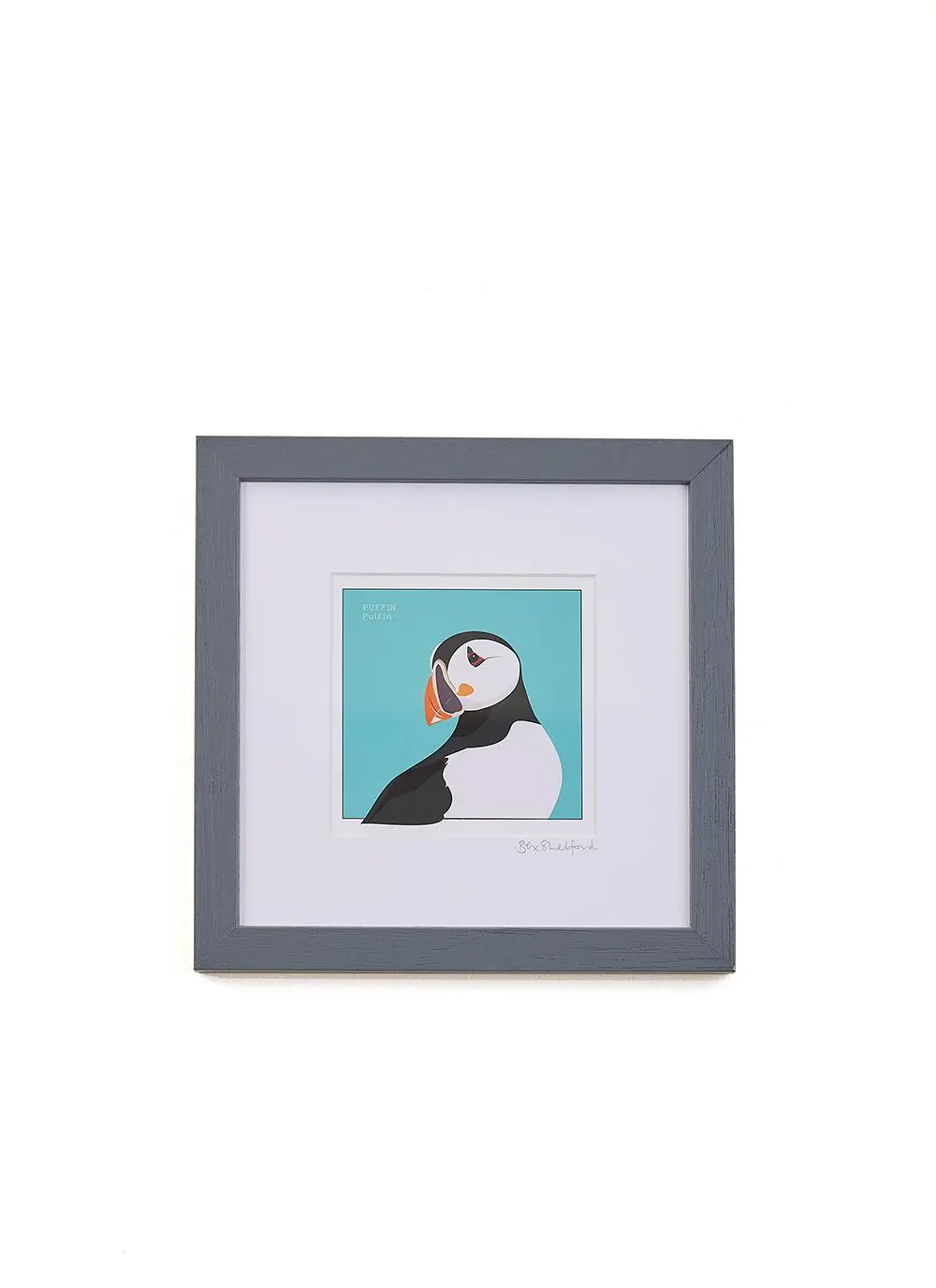 Puffin Sea Bird Framed Print
