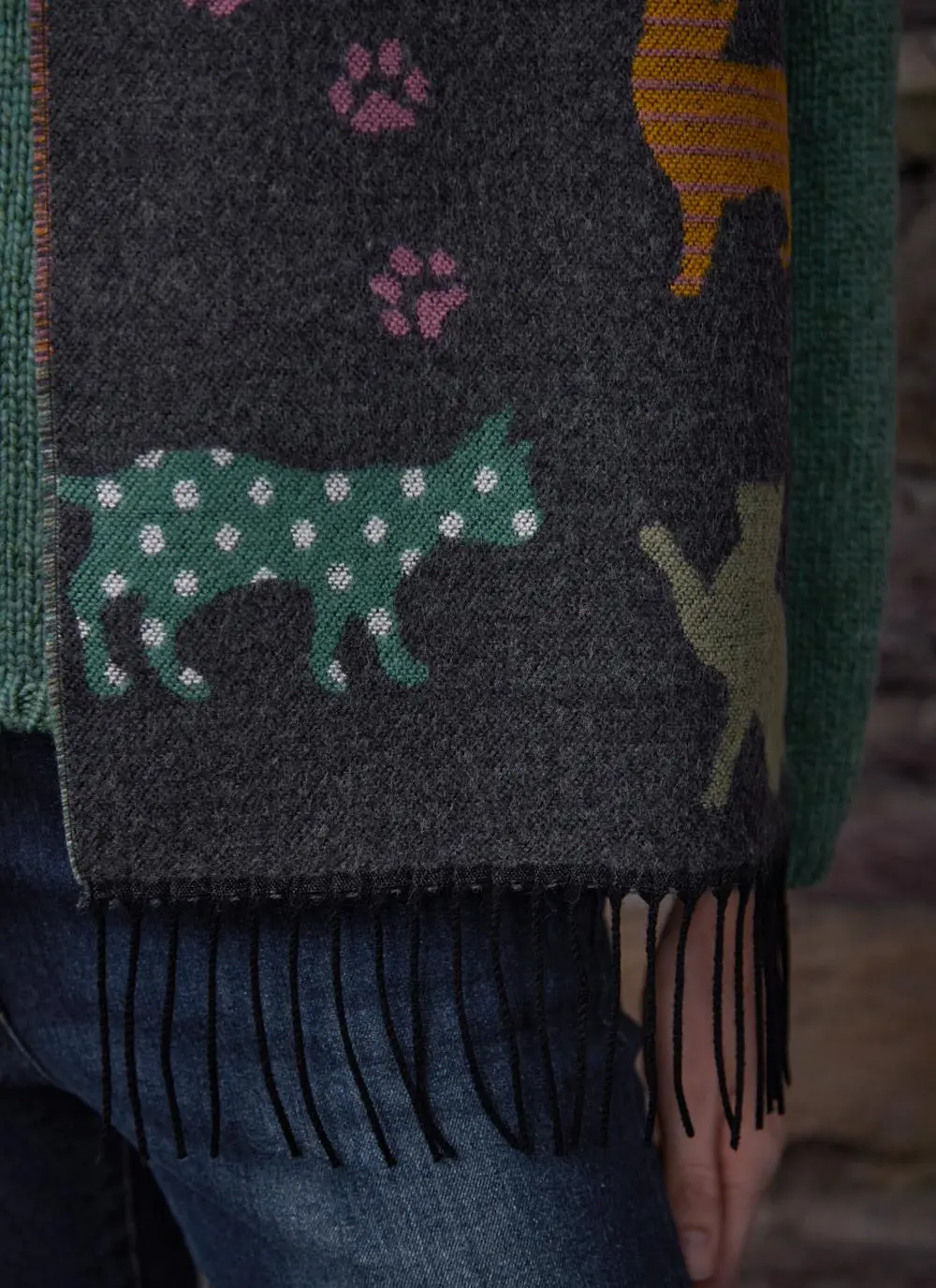 Cat with Paw Fringed Scarf