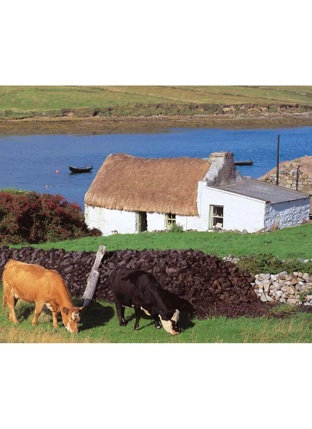 Irish Cottages Coasters