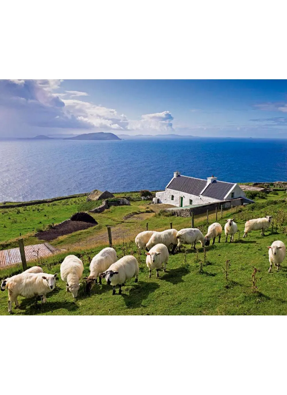 Irish Cottages Coasters