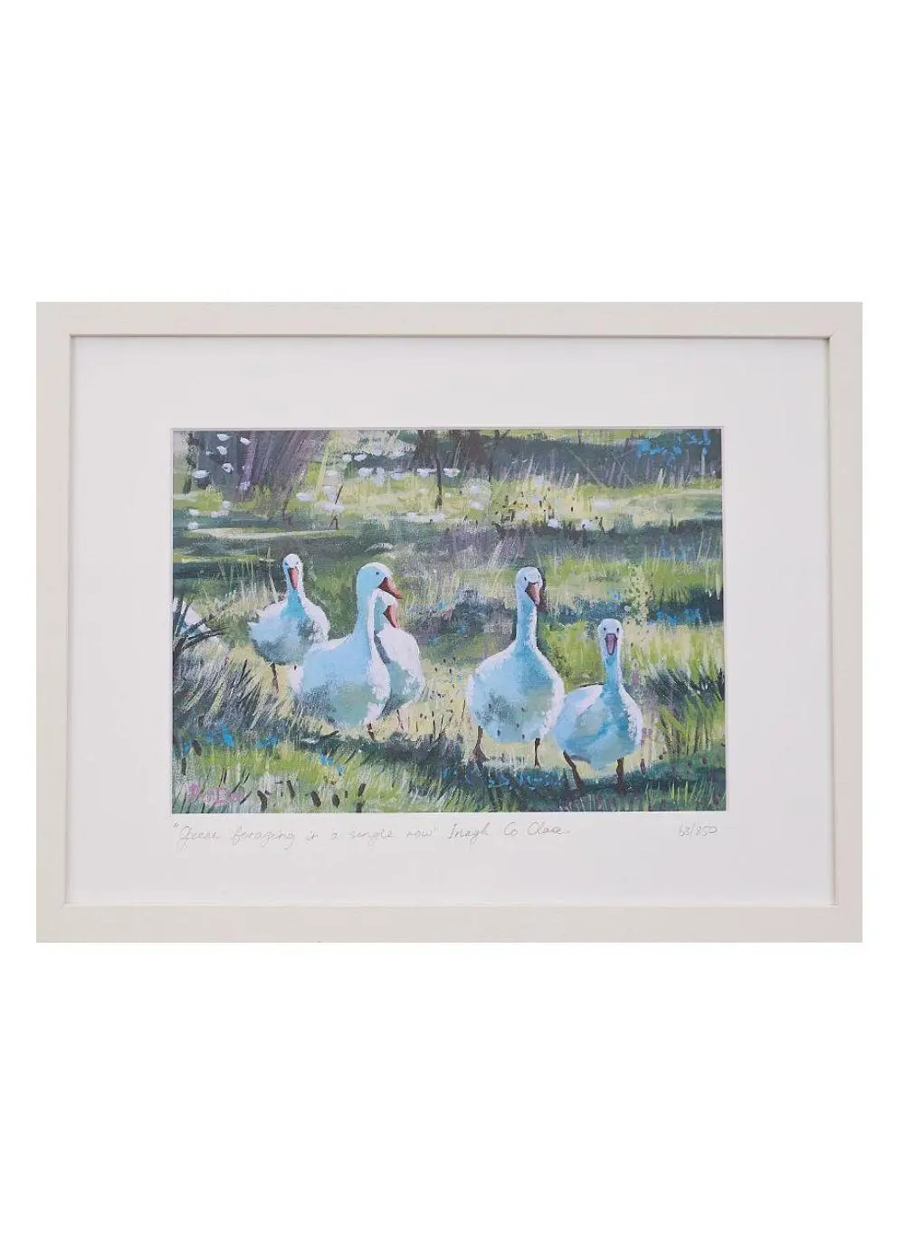 Geese Foraging in Inagh Framed Print