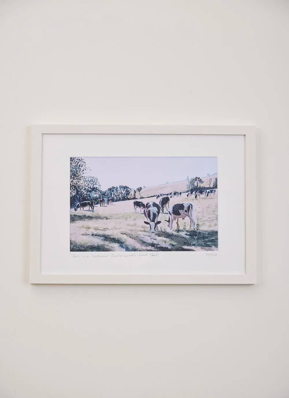 Cows in a Heatwave Framed Print (17 x 13 inches)