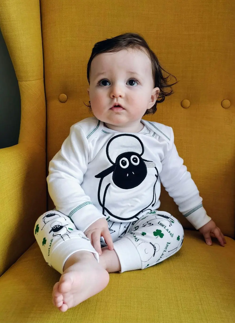 Flaherty Flock Baby T-Shirt & Leggings Set