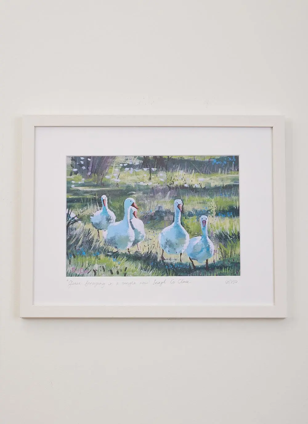Geese Foraging in Inagh Framed Print