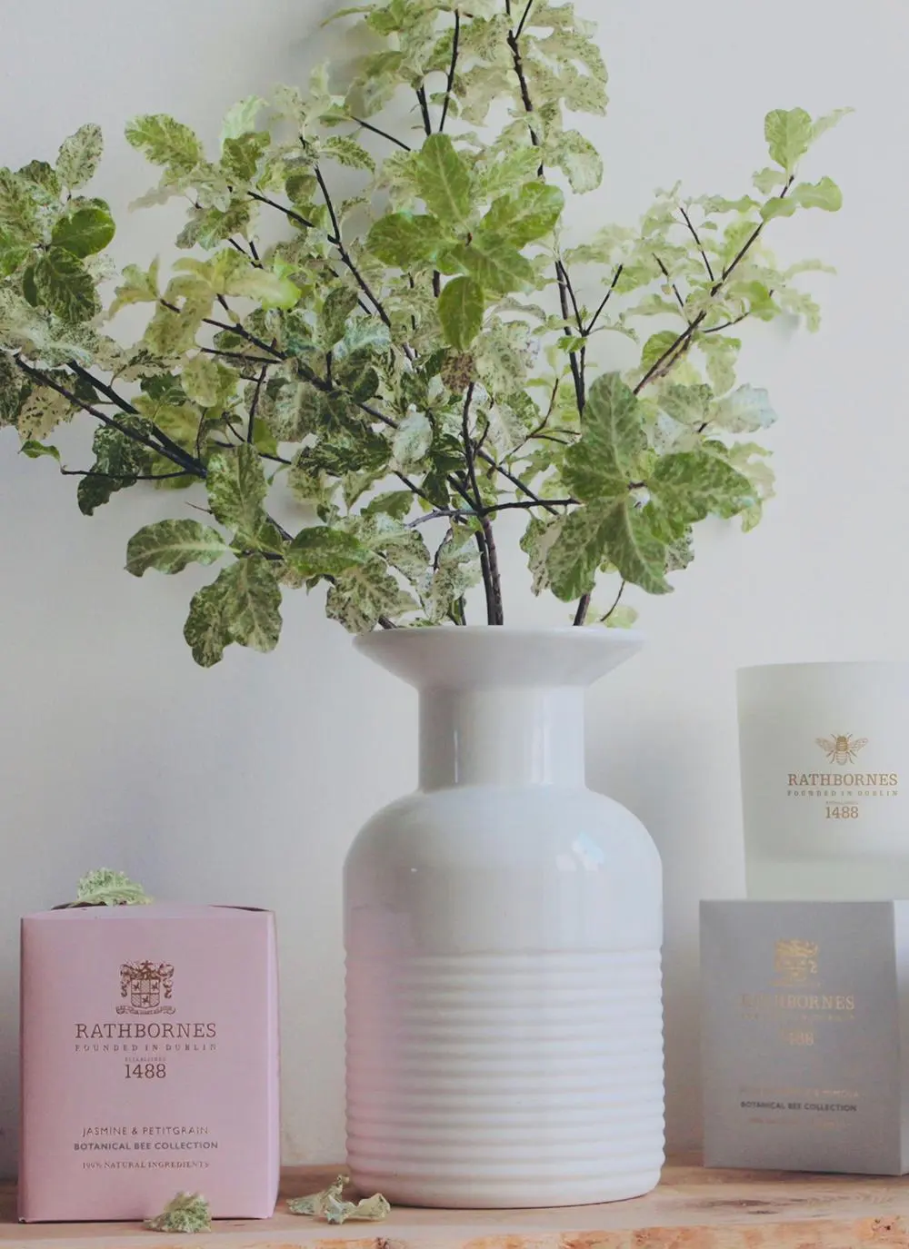 Jasmine & Petitgrain Botanical Bee Candle