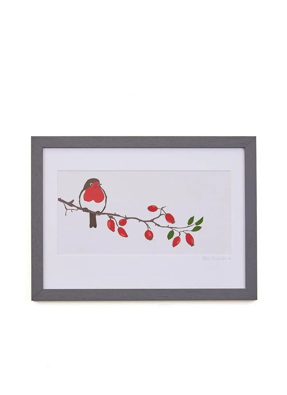 Robin & Rose Hip Framed Print