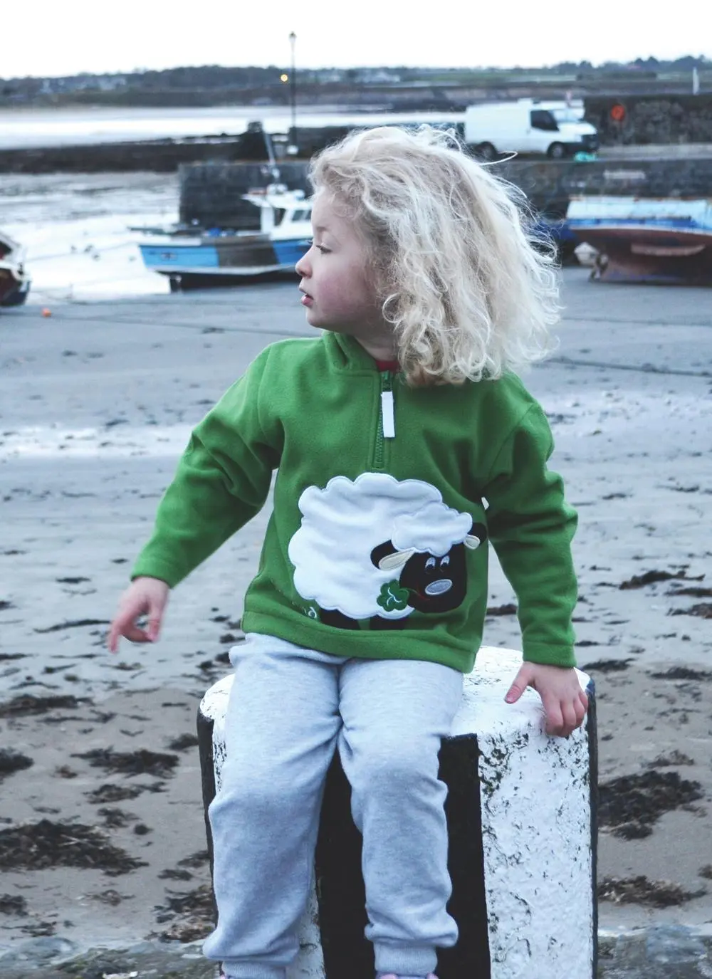 Green Ireland Sheep Fleece