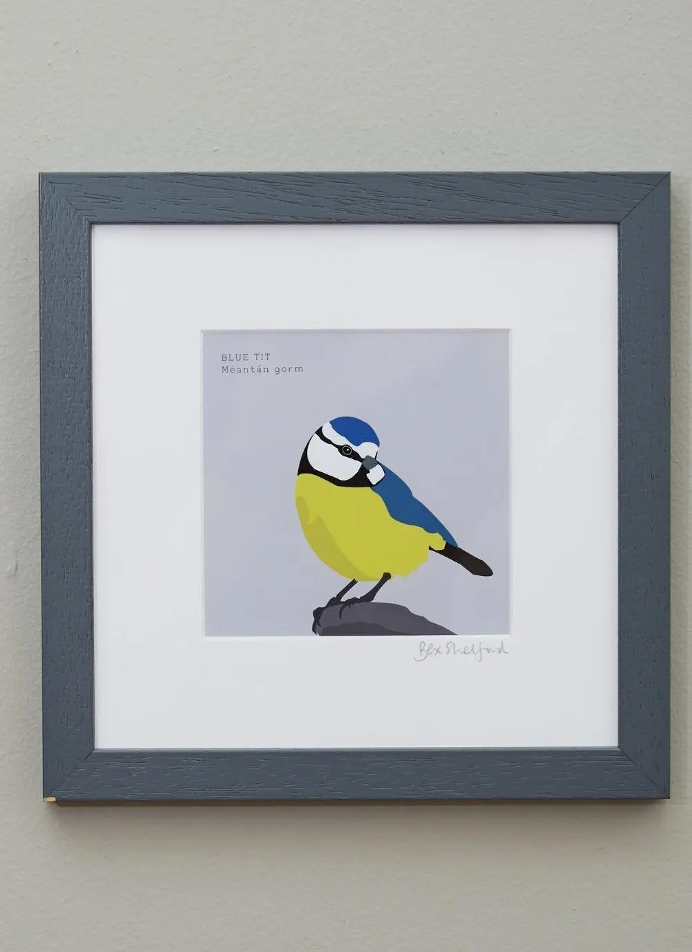 Blue Tit Framed Print
