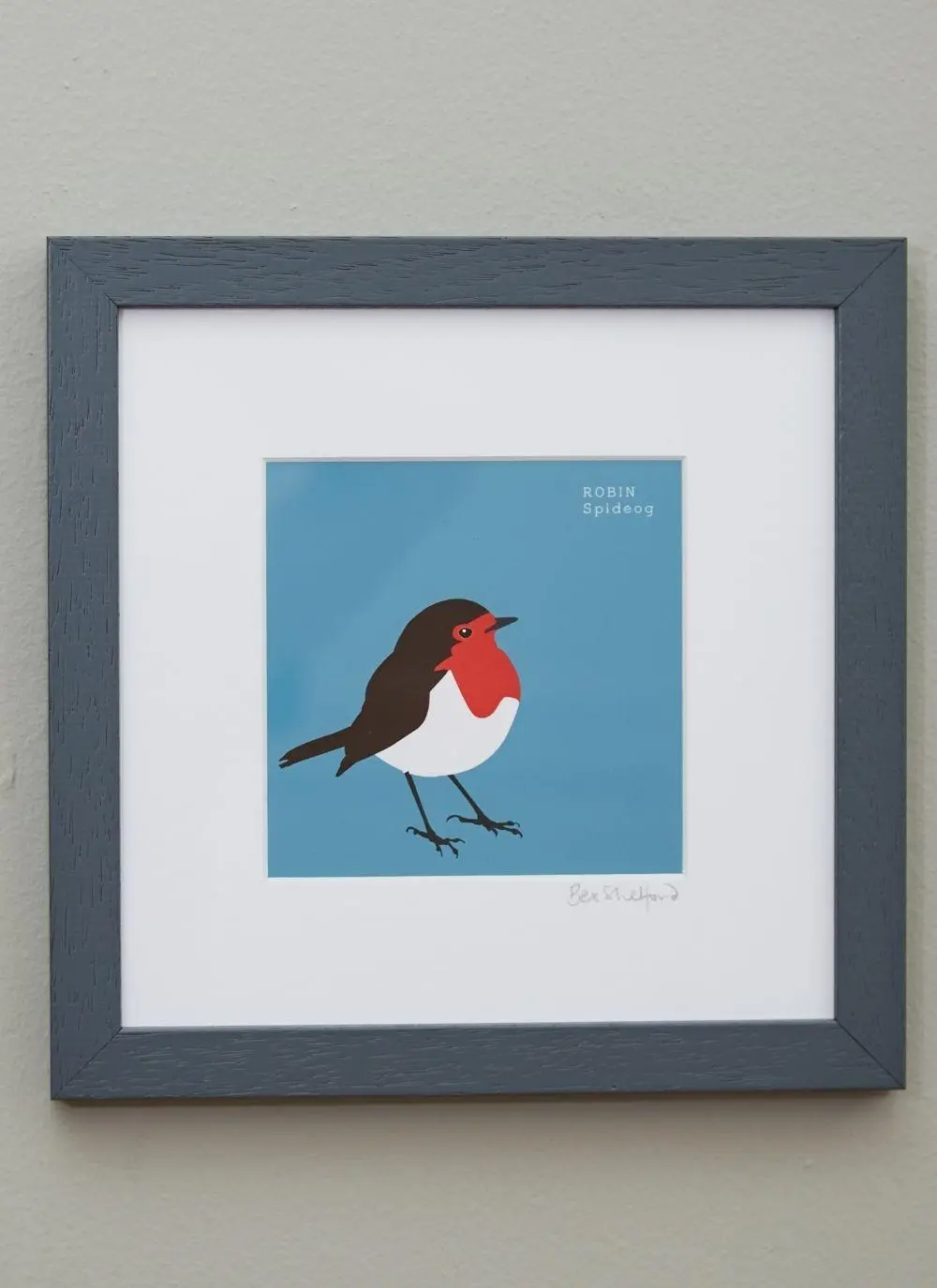 Robin Framed Print