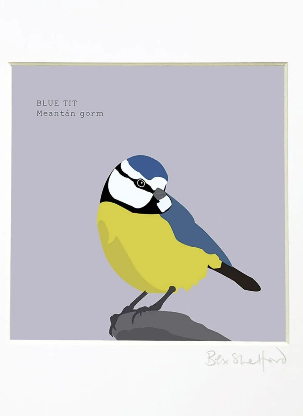 Blue Tit Framed Print