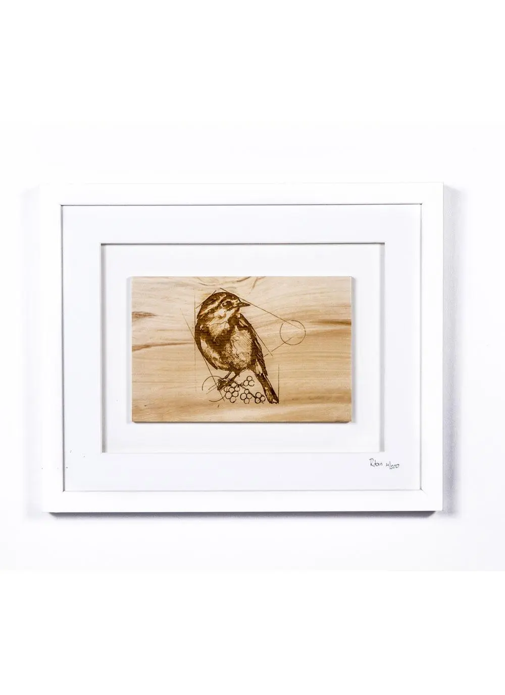 The Native Collection Framed Robin