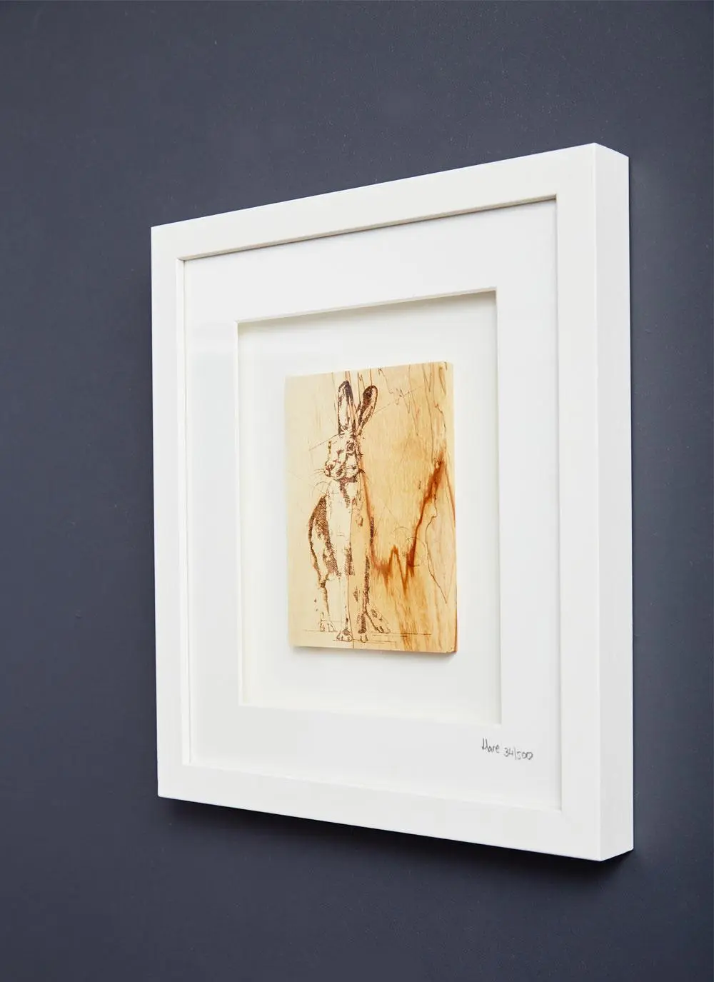 The Native Collection Framed Hare