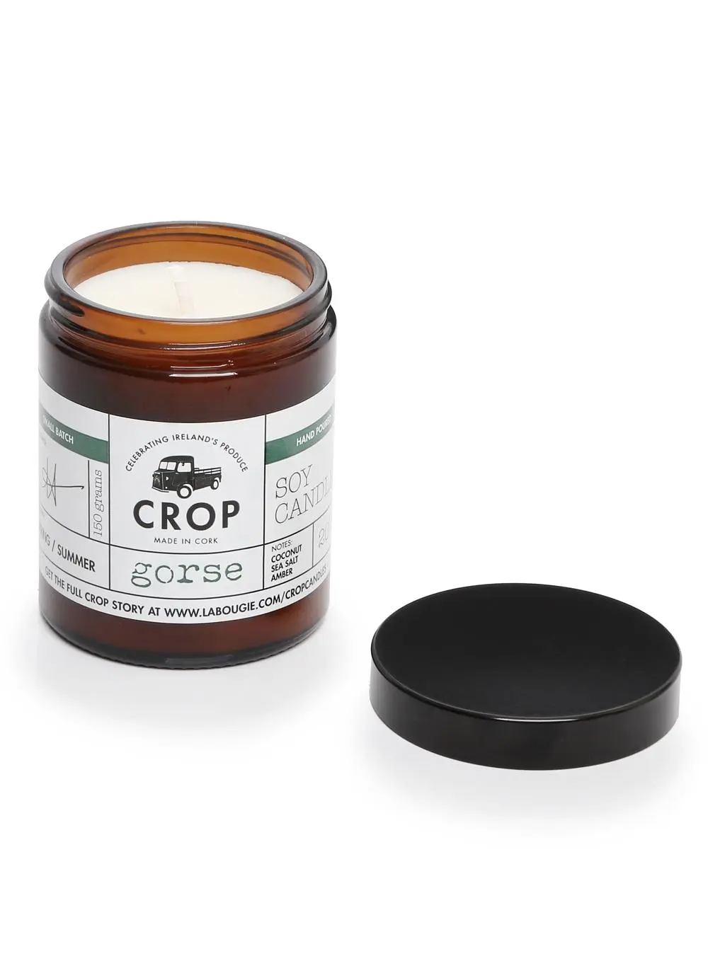 Gorse Candle