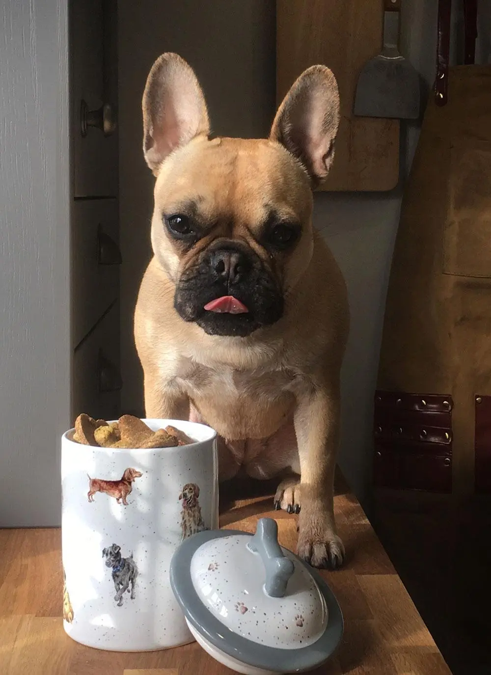 Wrendale Designs Dog Treat Jar