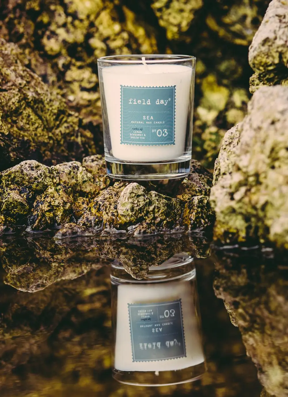 Large Sea Candle