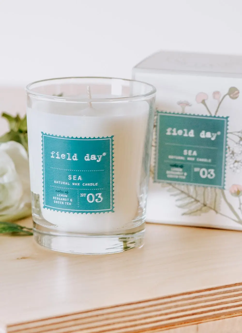 Large Sea Candle