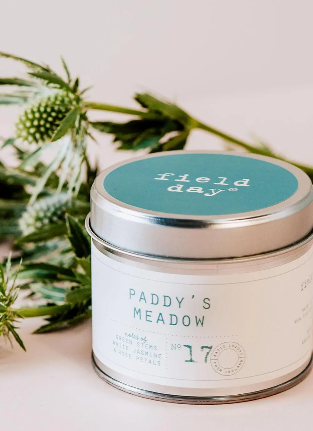 Paddy's Meadow Tin Candle