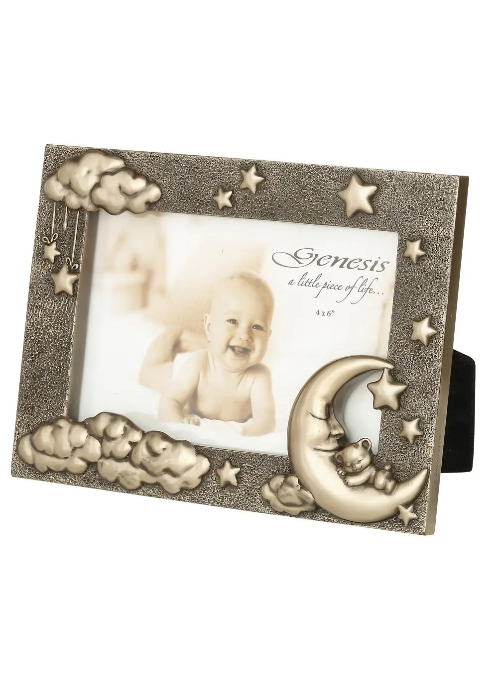Moon & Teddy Bronze Frame