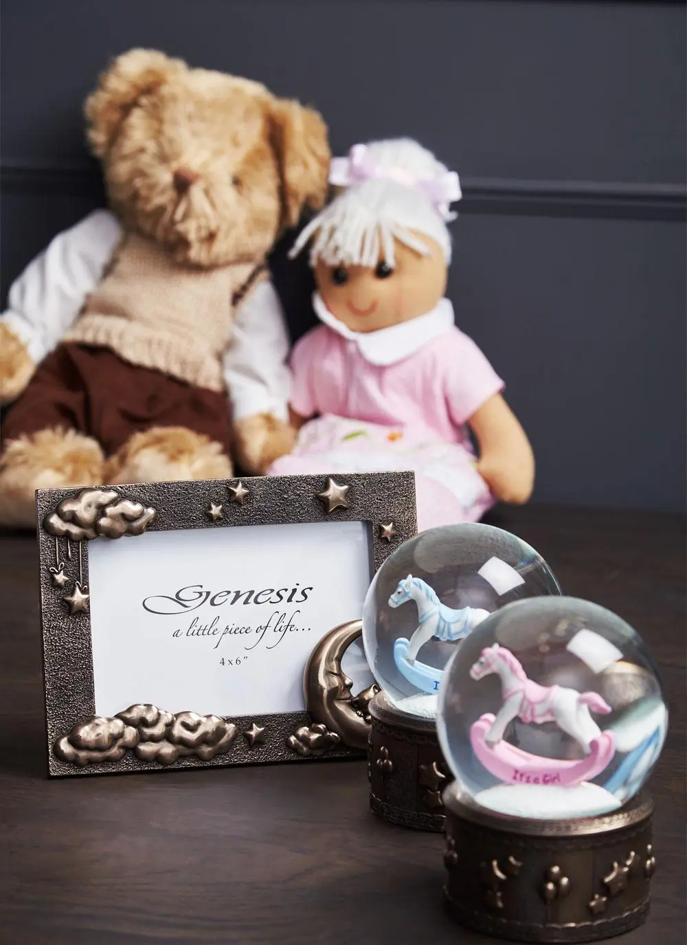Moon & Teddy Bronze Frame