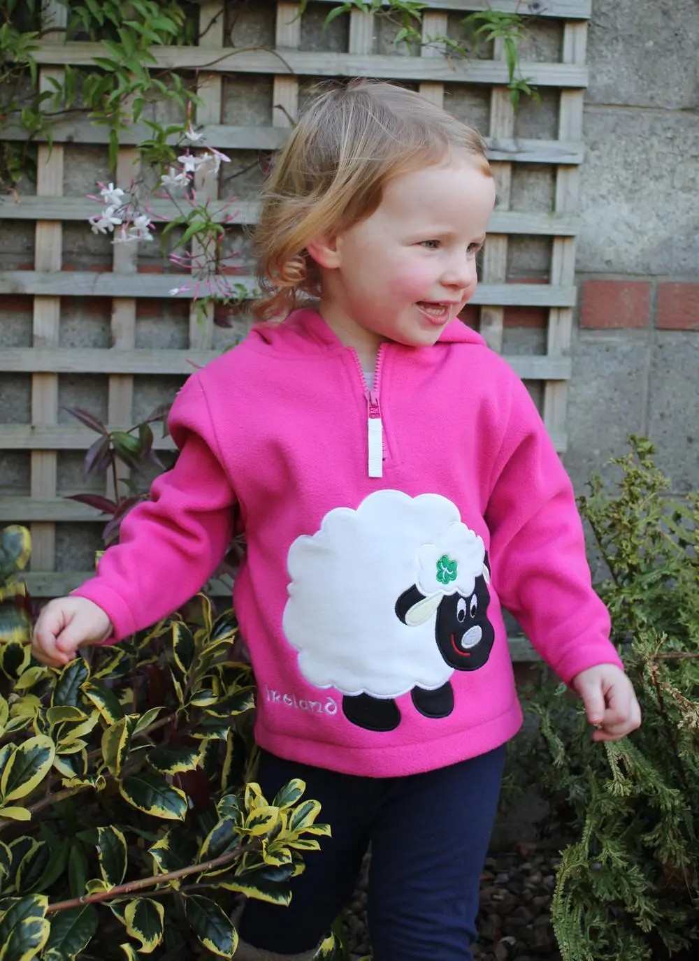 Pink Ireland Sheep Fleece