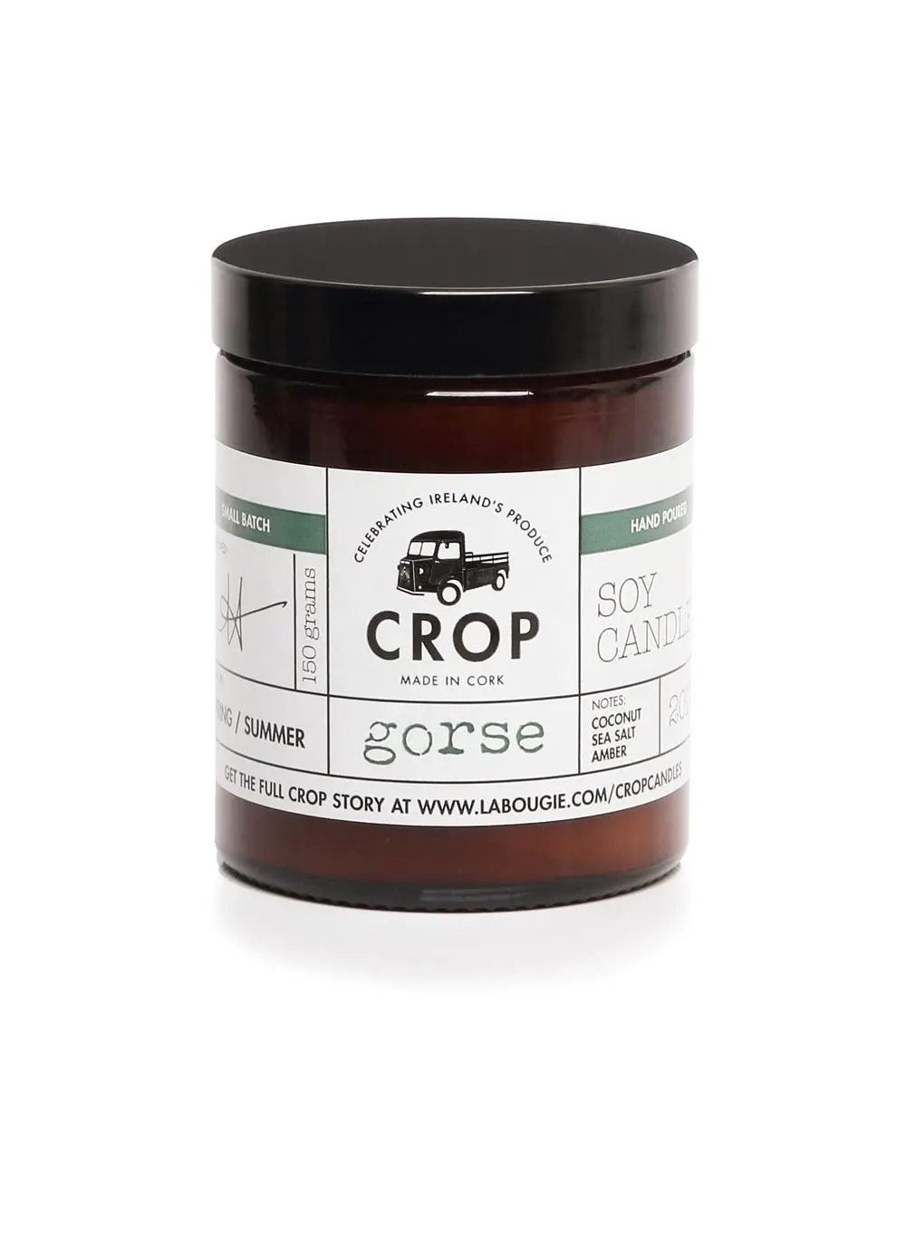 Gorse Candle