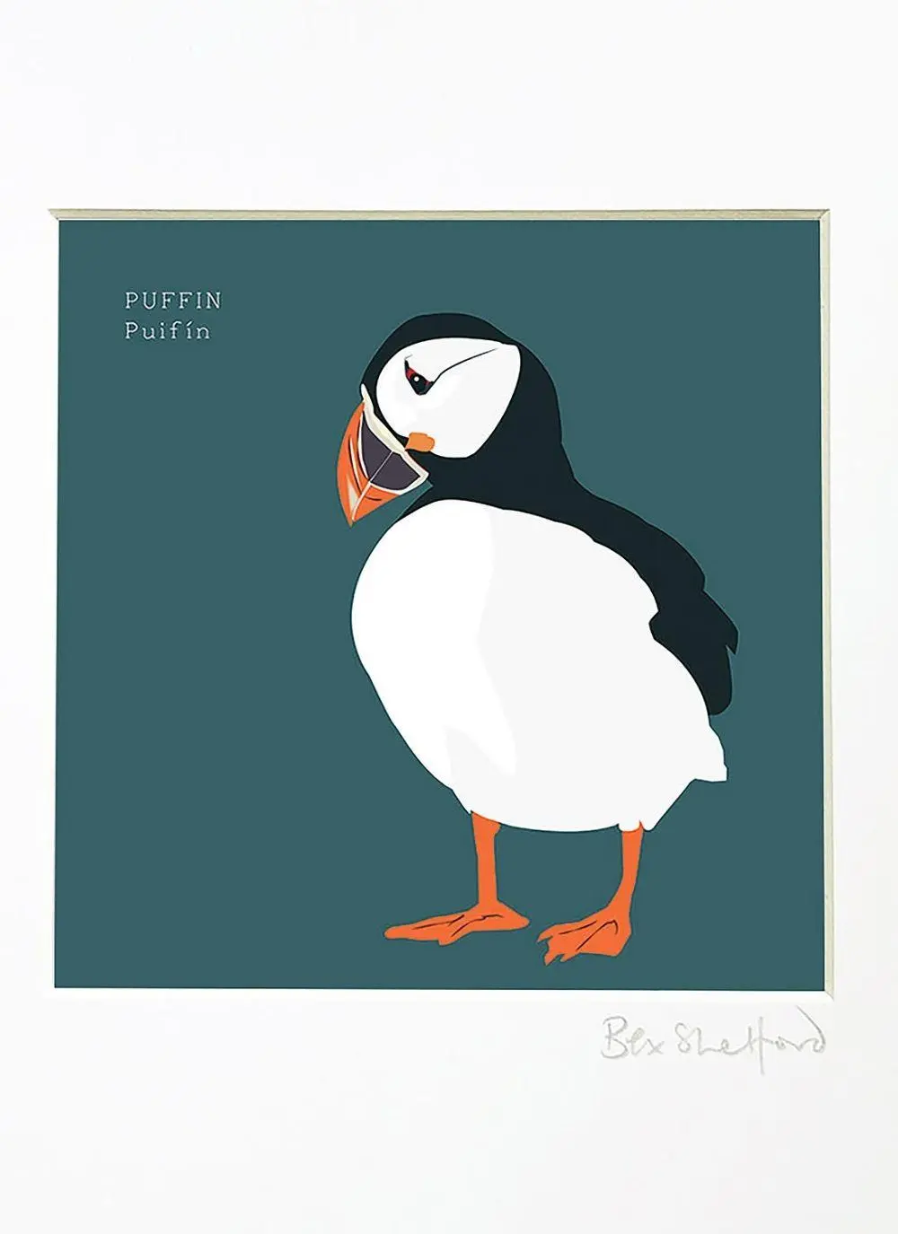 Puffin Framed Print