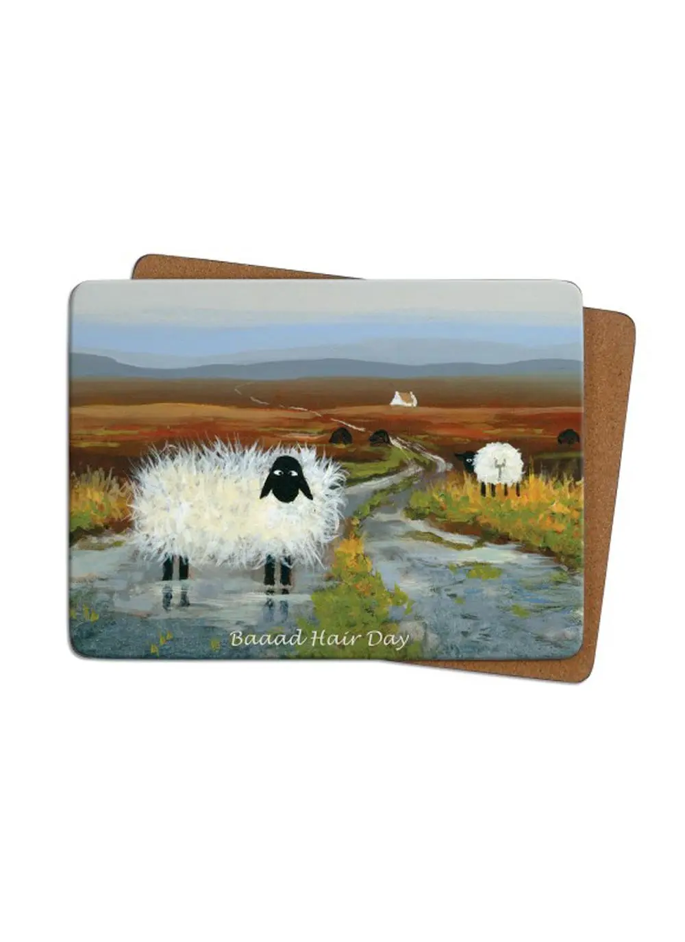 Baaad Hair Day Placemats Set of 4
