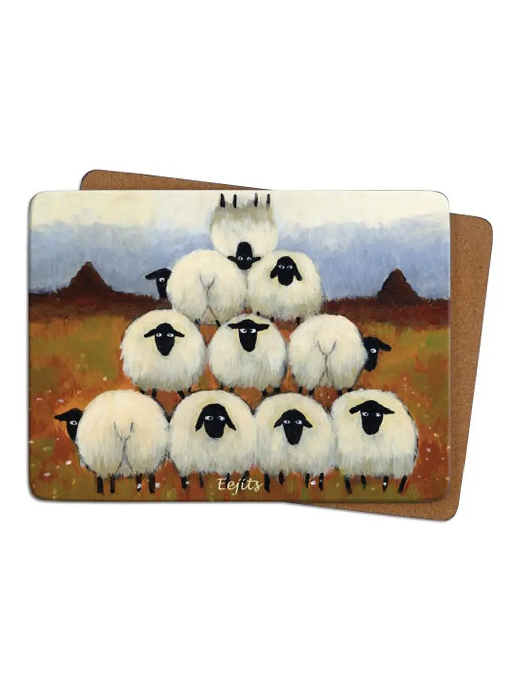 Eejits Placemats Set of 4