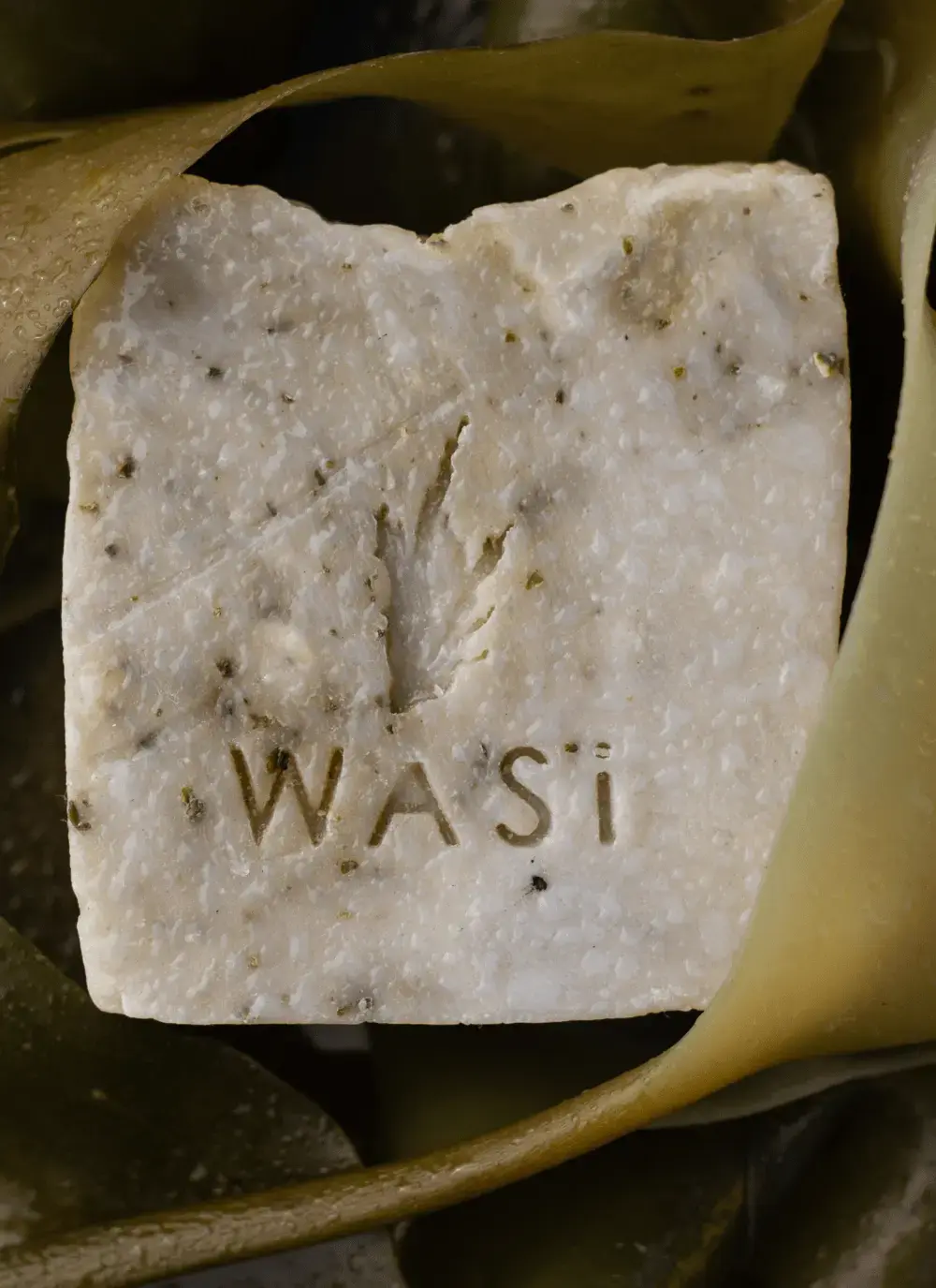 WASI Handmade Seaweed Soap