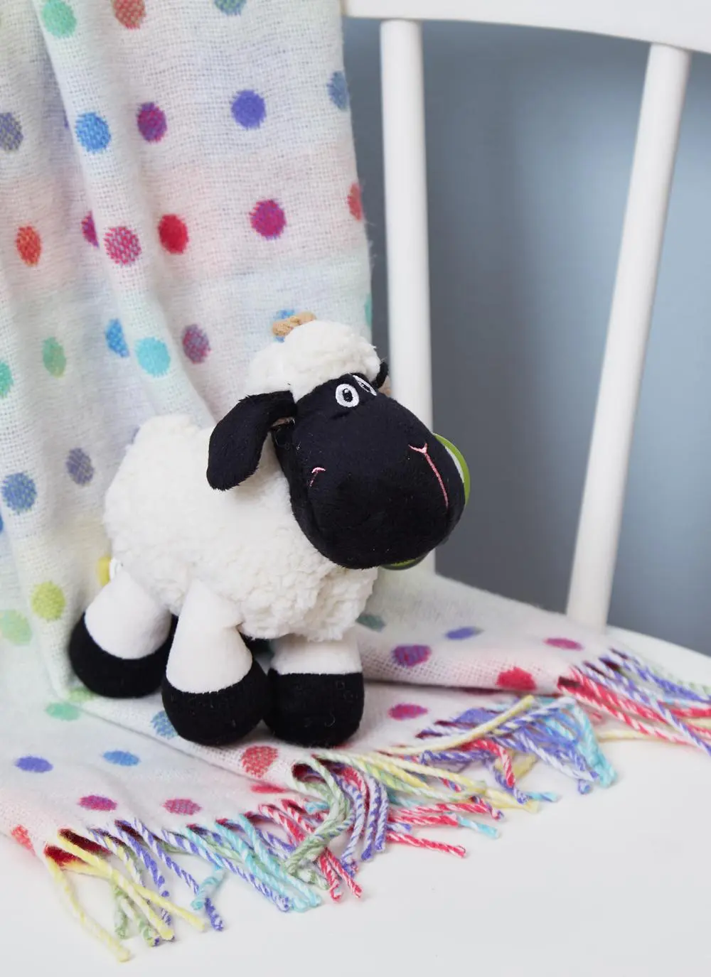 Daisy The Connemara Black Face Sheep