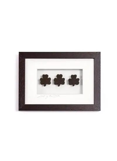 Luck Of The Irish Frame