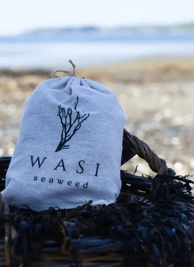 WASI Seaweed Spa Bath