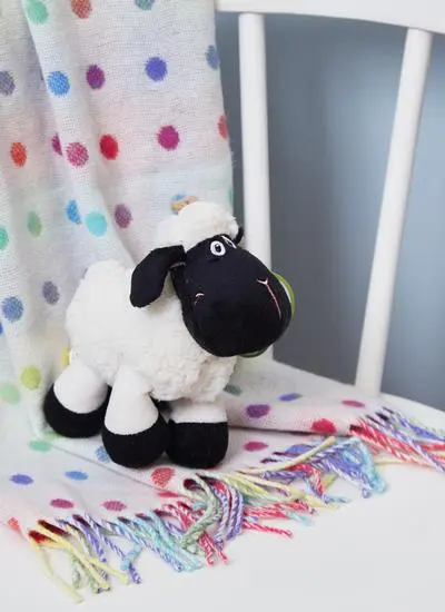 Daisy The Connemara Black Face Sheep