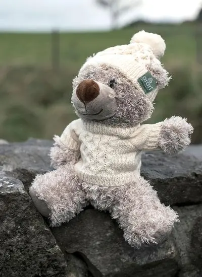 Teddy Bear With Aran Sweater & Hat